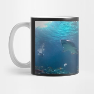 Shark! Mug